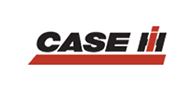 case